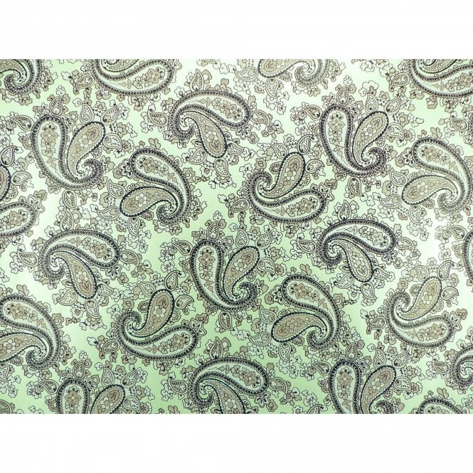 Rickenbacker 4003 Pickguard - Paisley – The Pickguard Shop