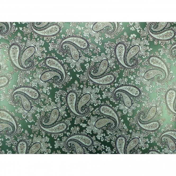 Rickenbacker 4003 Pickguard - Paisley – The Pickguard Shop