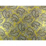 Contemporary Stratocaster Backplate - Paisley