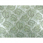 Contemporary Stratocaster Backplate - Paisley