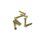 Single Coil Pickup Screws